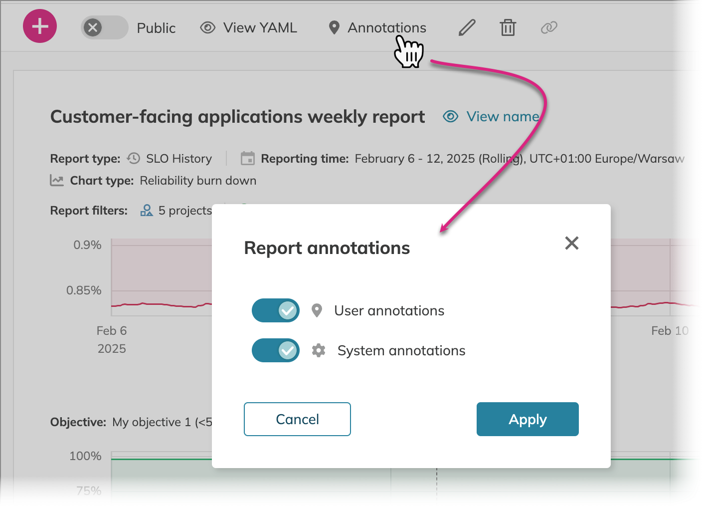 annotations in the report